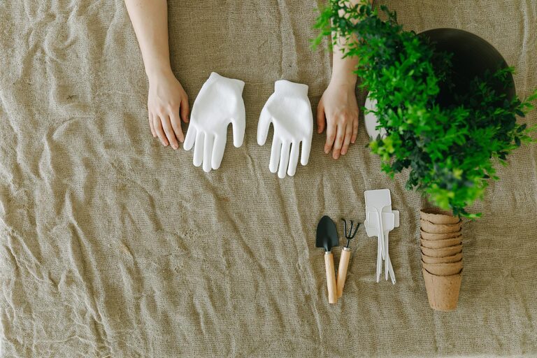 Tips for Creating a Sustainable Home Garden Throughout the Year